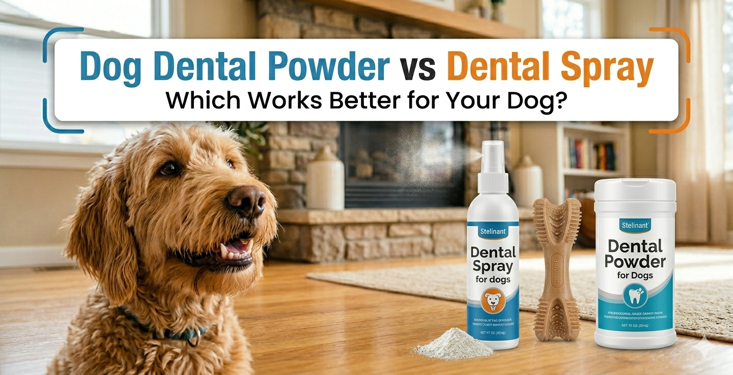 dog dental powder vs dental spray comparison which works better