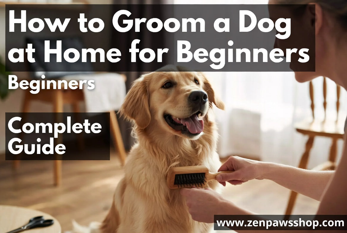 how to groom a dog at home for beginners complete guide