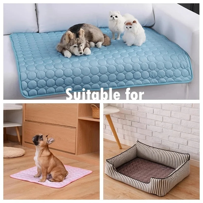 Dog Cooling Mat – Self-Cooling Gel Pad for All Breeds | ZenPawsShop