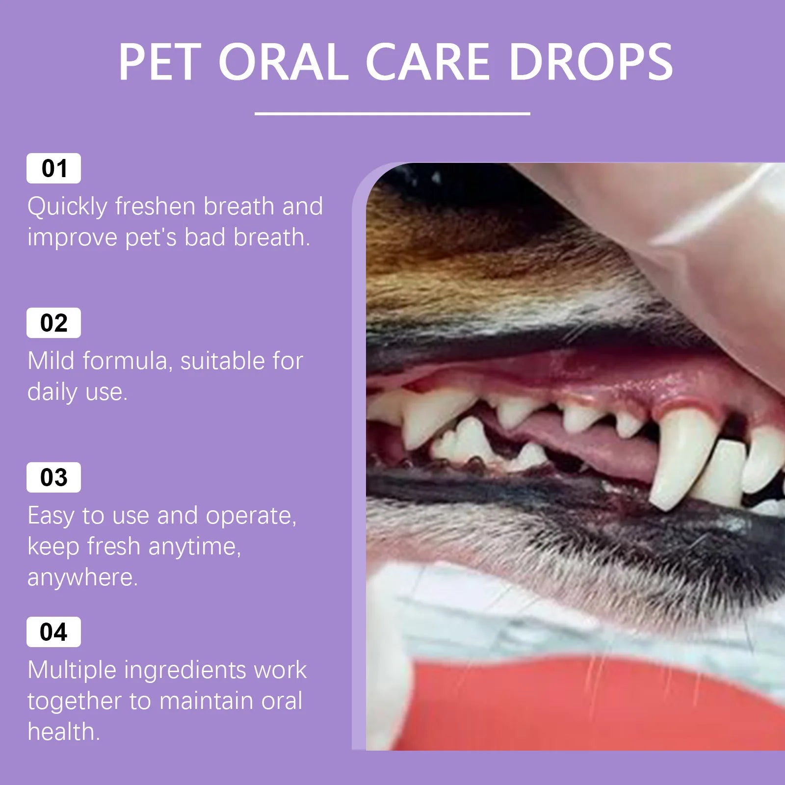 Dog and Cat Dental Cleaning Spray – Removes Tartar Freshens Breath and Prevents Calculus | ZenPawsShop