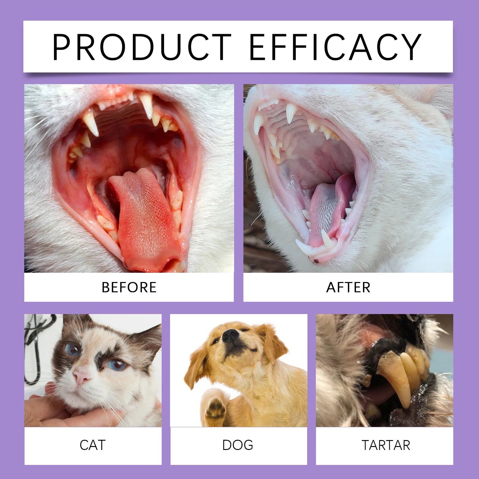 Dog and Cat Dental Cleaning Spray – Removes Tartar Freshens Breath and Prevents Calculus | ZenPawsShop