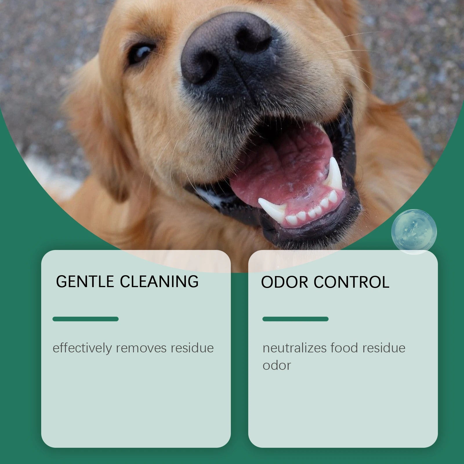 Dog Dental Powder – Removes Tartar and Freshens Breath for Healthy Gums | ZenPawsShop