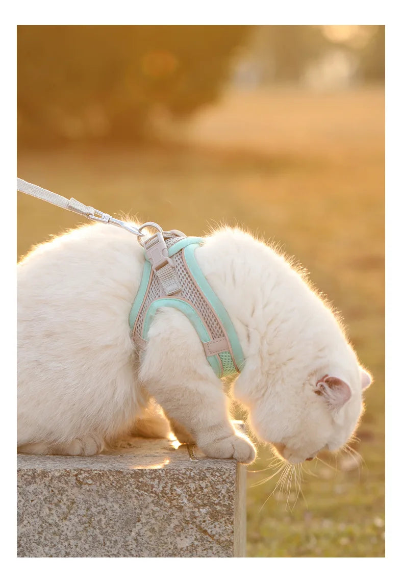 Dog Harness Vest – Reflective Adjustable Breathable for Small Medium Dogs | ZenPawsShop