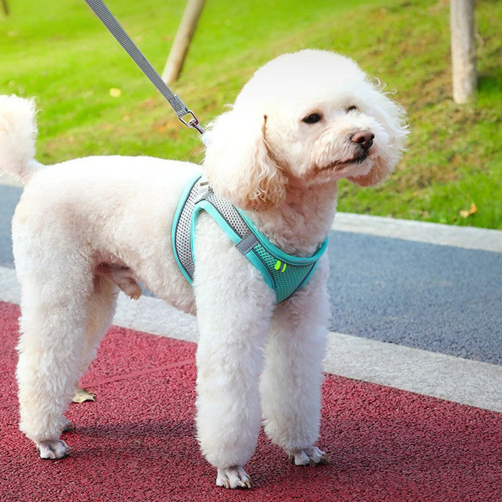 Dog Harness Vest – Reflective Adjustable Breathable for Small Medium Dogs | ZenPawsShop
