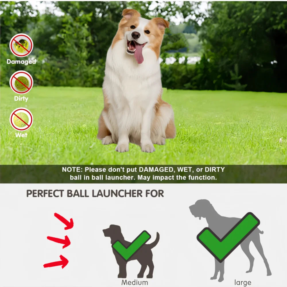 Automatic Dog Ball Launcher – Interactive Fetch Toy USB Rechargeable | ZenPawsShop
