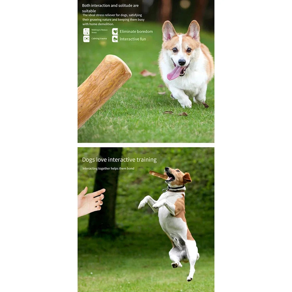Dog Wooden Chew Toy – Natural Coffee Wood Stick for Dental Health | ZenPawsShop