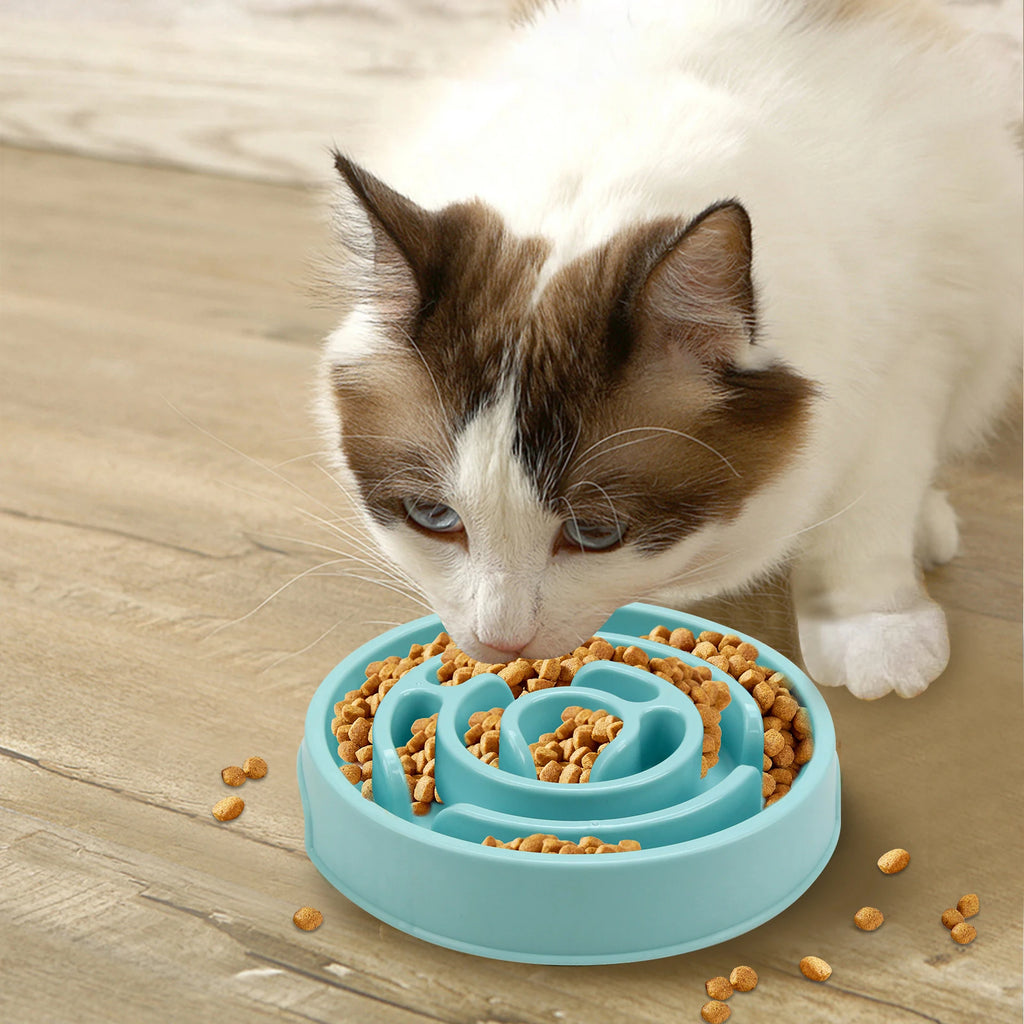 Dog Slow Feeder Bowl – Anti-Bloat Non-Slip Puzzle Dish for All Breeds | ZenPawsShop
