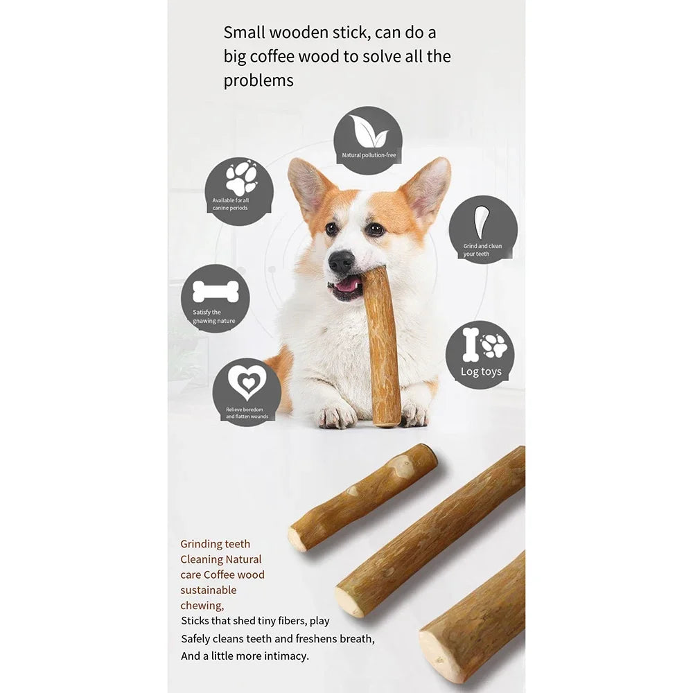 Dog Wooden Chew Toy – Natural Coffee Wood Stick for Dental Health | ZenPawsShop
