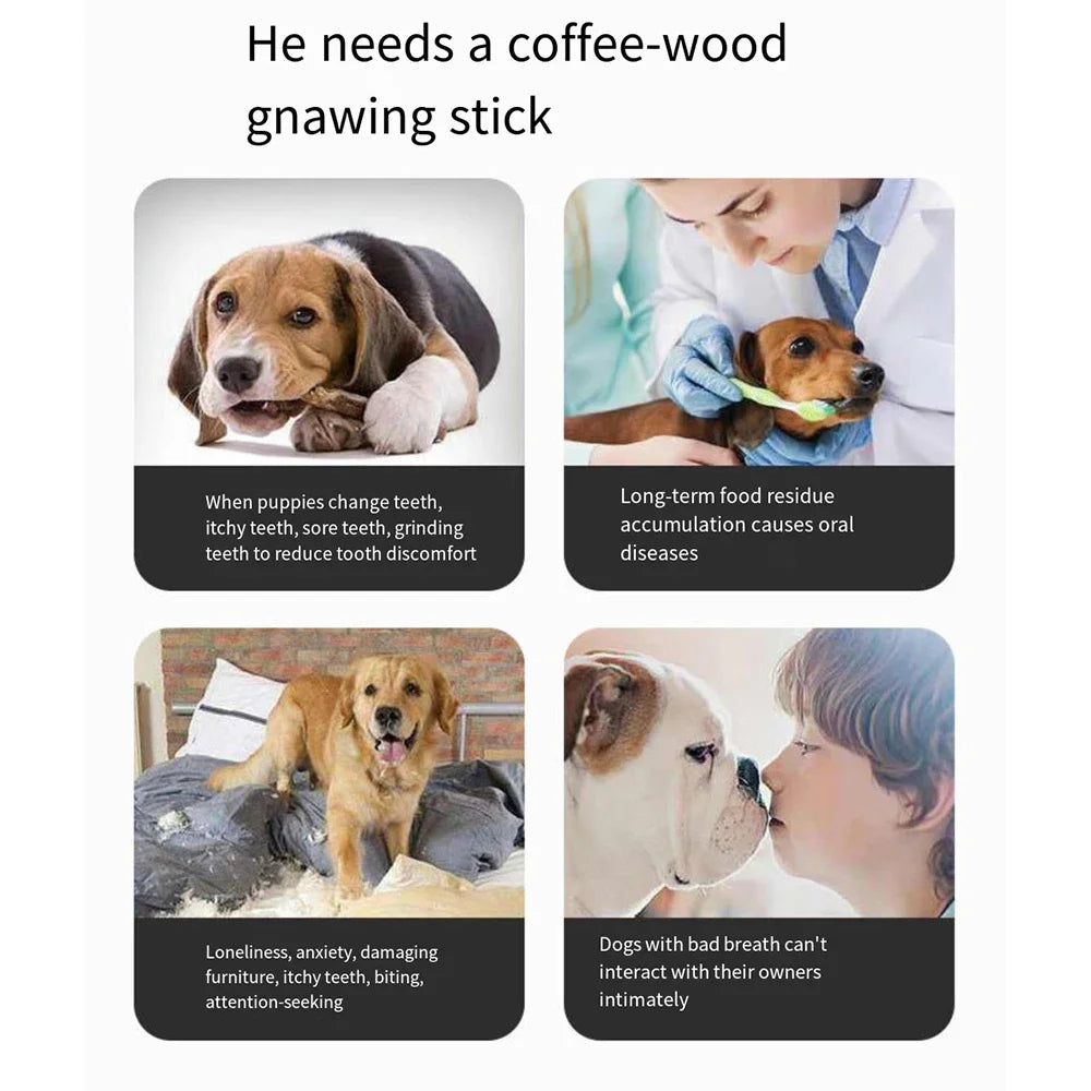 Dog Wooden Chew Toy – Natural Coffee Wood Stick for Dental Health | ZenPawsShop