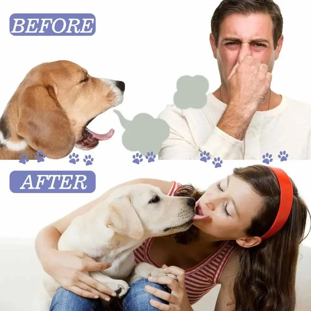 Dog and Cat Dental Cleaning Spray – Removes Tartar Freshens Breath and Prevents Calculus | ZenPawsShop