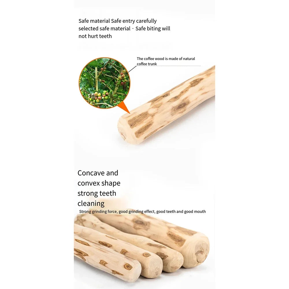 Dog Wooden Chew Toy – Natural Coffee Wood Stick for Dental Health | ZenPawsShop