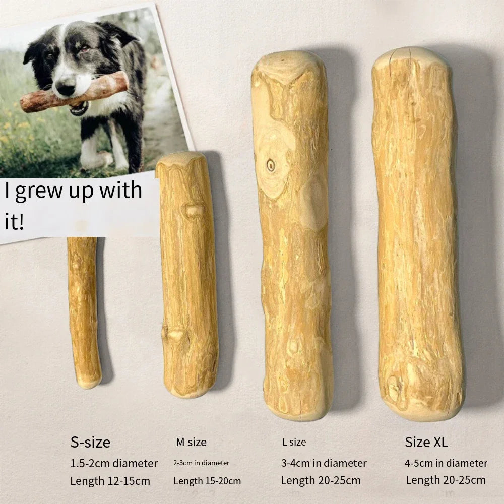 Dog Wooden Chew Toy – Natural Coffee Wood Stick for Dental Health | ZenPawsShop