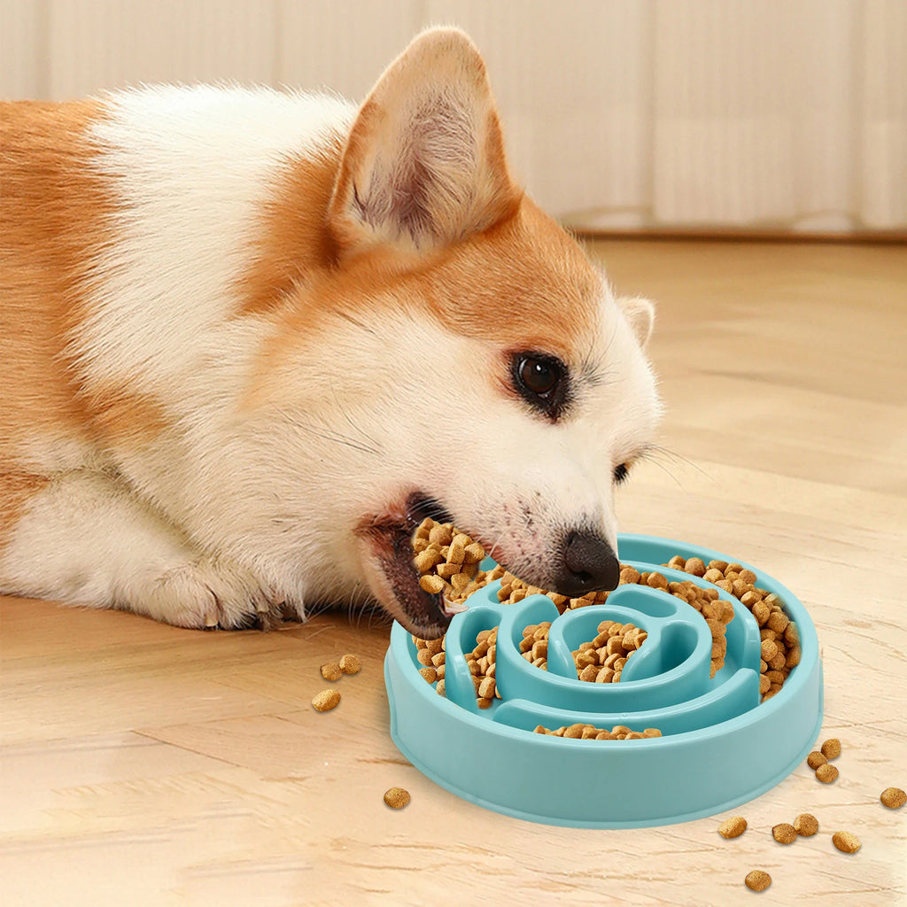Dog Slow Feeder Bowl – Anti-Bloat Non-Slip Puzzle Dish for All Breeds | ZenPawsShop