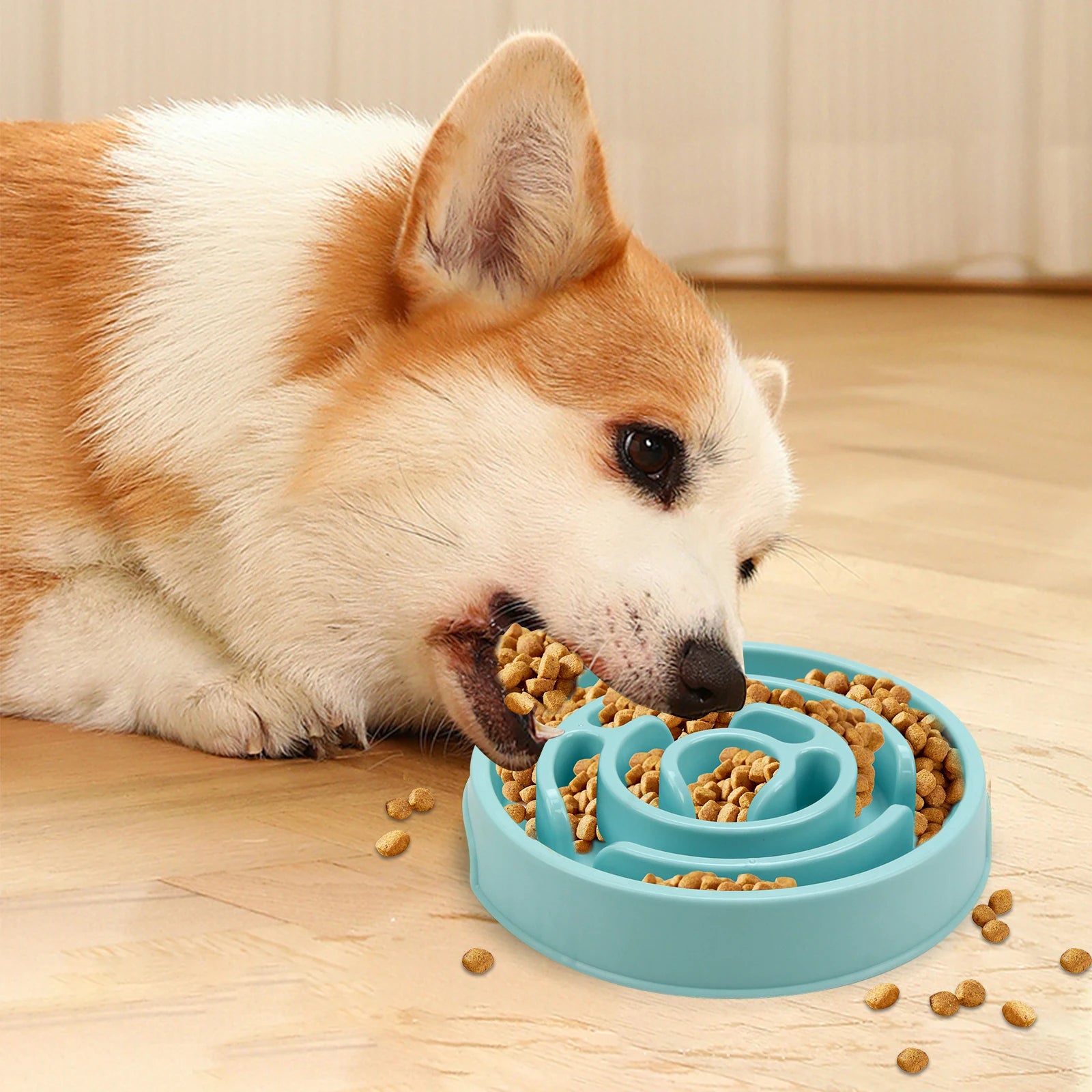 Dog Slow Feeder Bowl – Anti-Bloat Non-Slip Puzzle Dish for All Breeds | ZenPawsShop