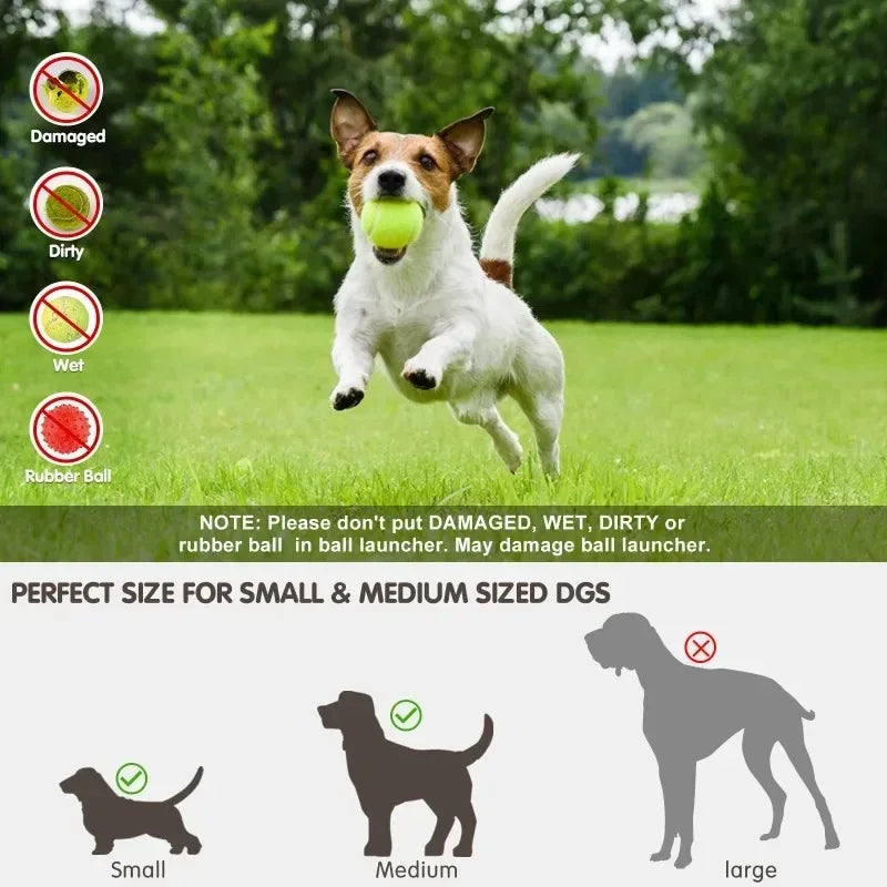 Automatic Dog Ball Launcher – Interactive Fetch Toy USB Rechargeable | ZenPawsShop