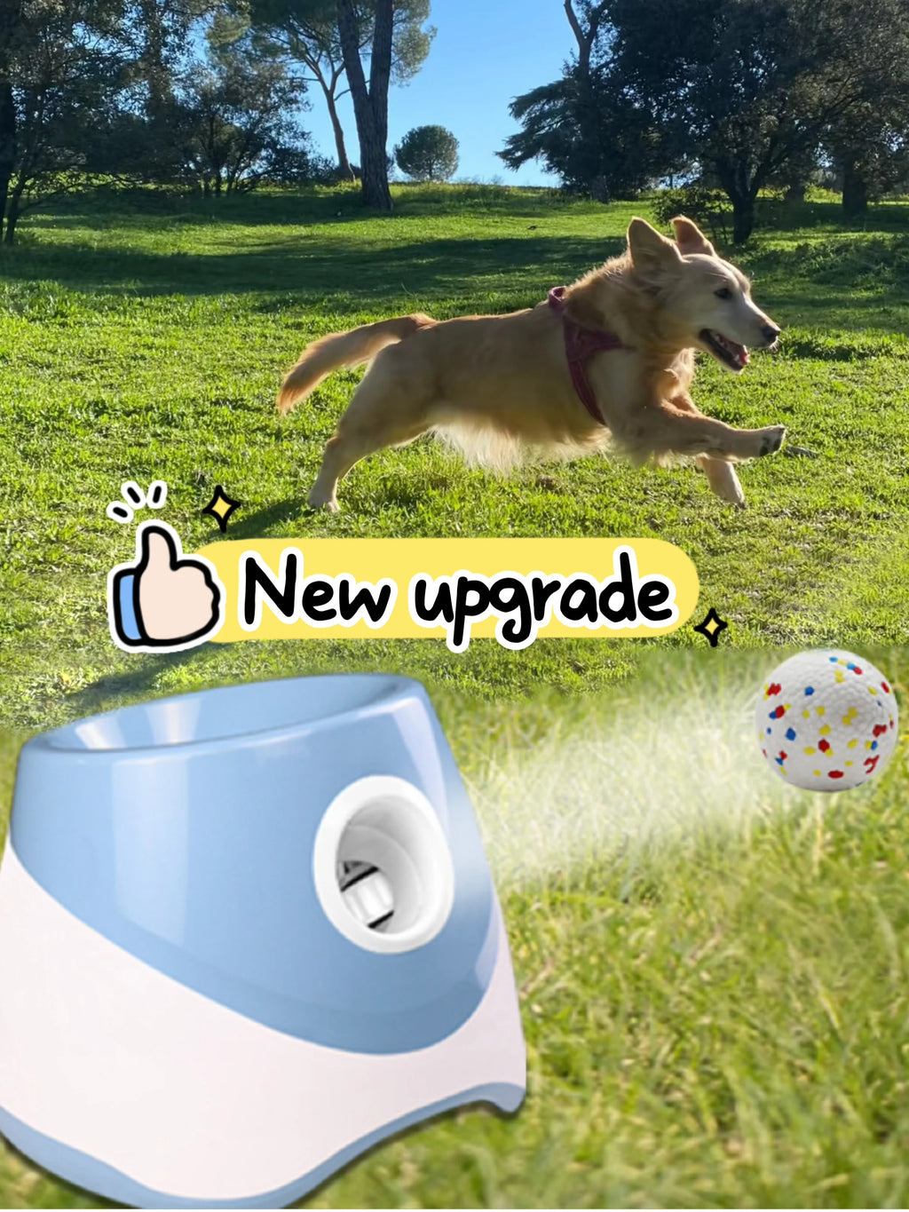 Automatic Dog Ball Launcher – Interactive Fetch Toy USB Rechargeable | ZenPawsShop